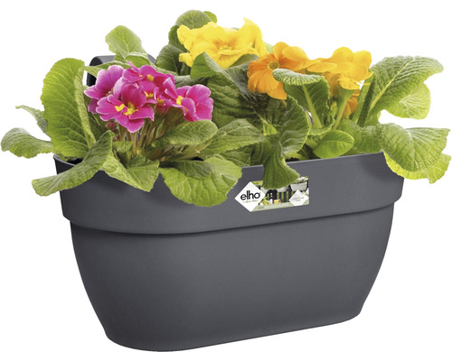 Sivý kvetináč na zábradlie s prvosienkami