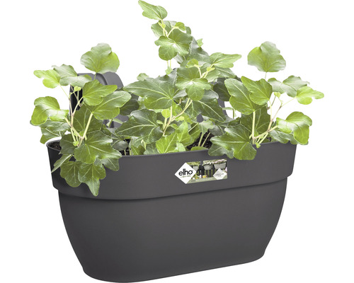 Sivý kvetináč s brečtanom