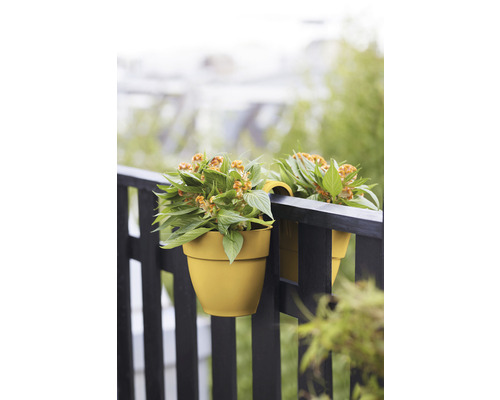 Dva závesné kvetináče s rastlinami na zábradlí