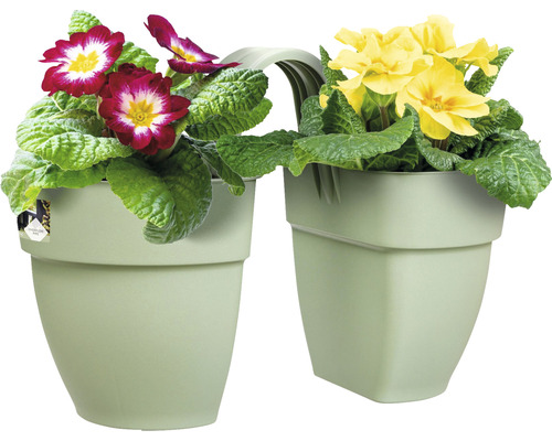 Dvojitý kvetináč s červenými a žltými kvetmi prvosienky