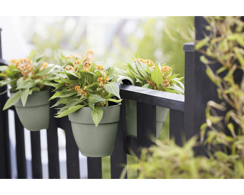 Tri zelené kvetináče s rastlinami zavesené na tmavom plote.