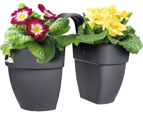 Dvojitý balkónový kvetináč s červenými a žltými prvosienkami