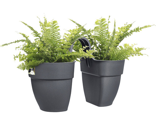 Dva sivé závesné kvetináče osadené papradím