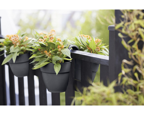 Kvety v hrantíkoch visia na balkónovom zábradlí.