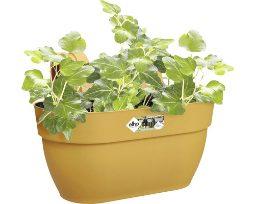 Žltý kvetináč s brečtanom