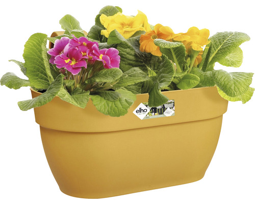 Žltý kvetináč s farebnými prvosienkami