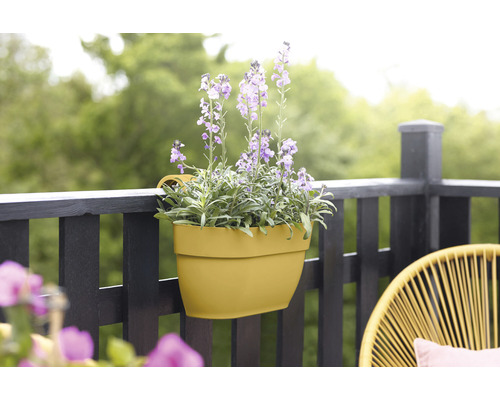 Žltý balkónový kvetináč s fialovými kvetmi na balkónovom zábradlí