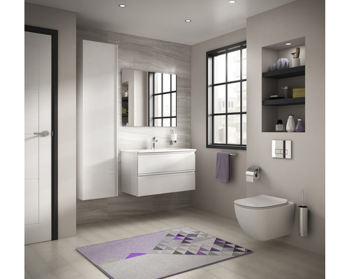 Moderná kúpeľňa s umývadlom, zrkadlovou skrinkou, toaletou a kúpeľňovým kobercom