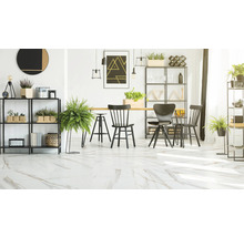 Svetlá izba s nábytkom, rastlinami a regálmi v modernom dizajne.