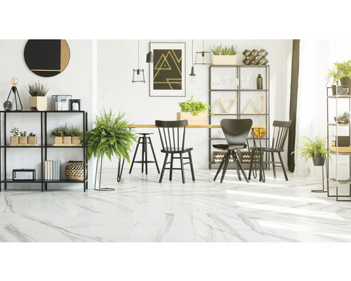 Svetlá izba s nábytkom, rastlinami a regálmi v modernom dizajne.