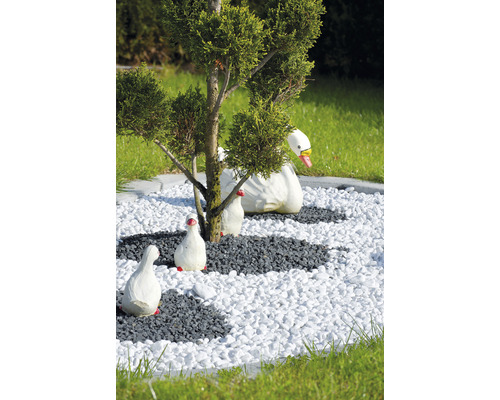 Záhradná scéna s okrasným štrkom, cyprusom a ozdobnými labuťami