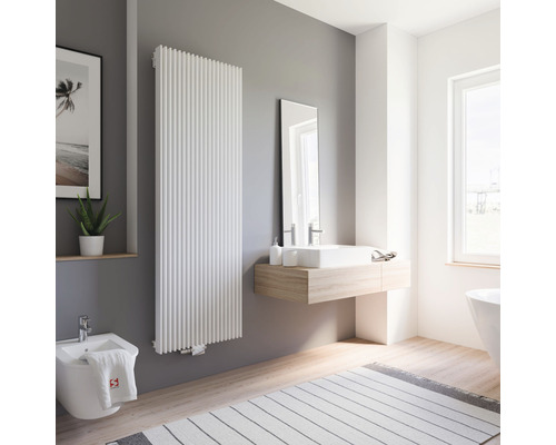 Moderná kúpeľňa s radiátorom, umývadlom, zrkadlom, bidetom a kobercom