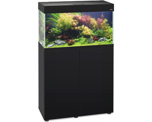 Akvárium so skrinkou, osadené rastlinami a s rybami