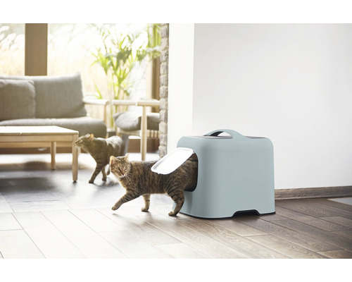 Mačka opúšťa mačaciu toaletu v svetlej obývacej izbe