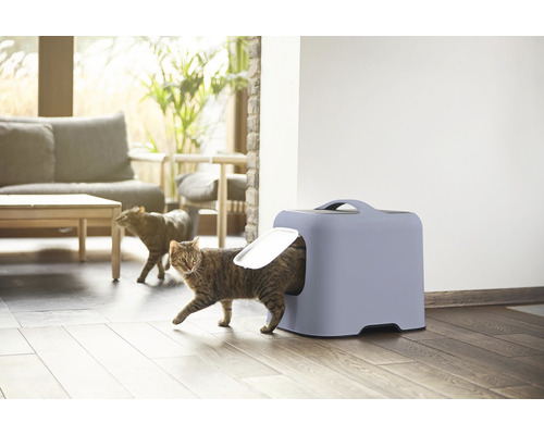 Mačka opúšťa uzavretú mačaciu toaletu v obývacej izbe.