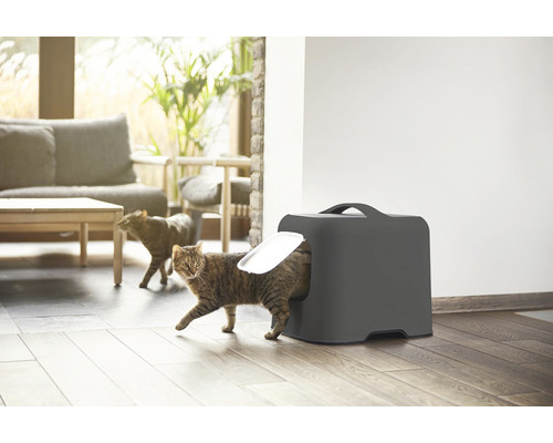 Mačka vstupuje do toalety pre mačky v obývacej izbe