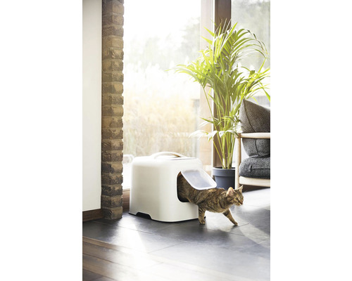 Mačka opúšťa mačaciu toaletu v obývacej izbe