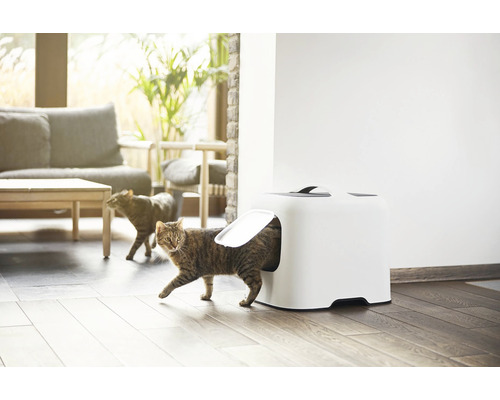 Mačka opúšťa mačaciu toaletu vo svetlom obytnom prostredí