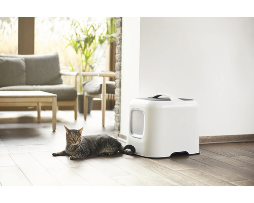 Mačka leží vedľa mačacej toalety v interiéri