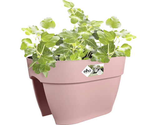 Kvetináč s brečtanom na balkón