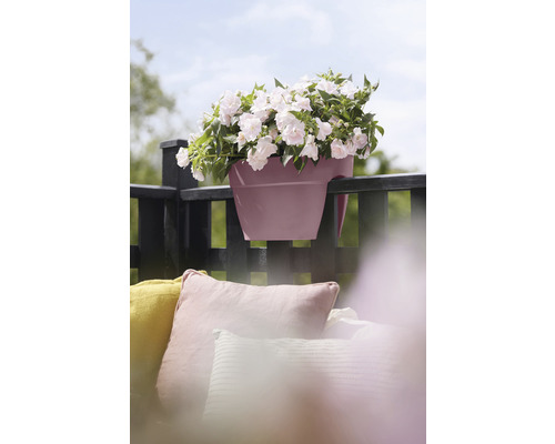 Balkónový kvetináč s bielo kvitnúcimi rastlinami na zábradlí balkóna