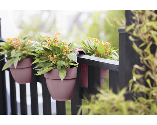 Balkón s kvetináčmi na zábradlí