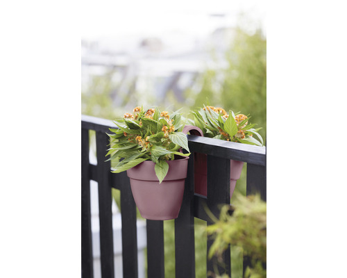 Dva kvetinové hrnce visia na zábradlí balkónu s rastlinami vnútri.