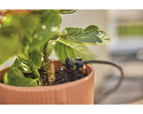 Kvapková závlaha v kvetináči na zavlažovanie záhrady