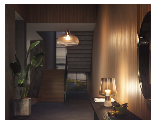 Interiérová fotografia chodby so stolnou lampou, závesnou lampou a izbovou rastlinou
