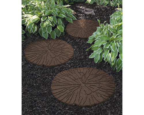 Záhradný chodník s okrúhlymi kamennými stupnicami vzhľadu rezu kmeňa