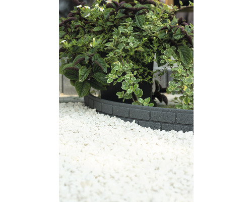 Kvetináč s kamenným ohraničením a bielym dekoračným štrkom