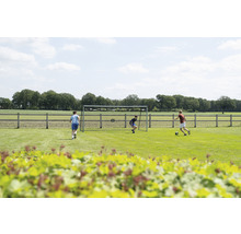 Futbalový zápas s futbalovou bránkou na trávniku