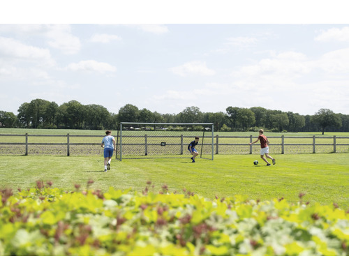 Futbalový zápas s futbalovou bránkou na trávniku