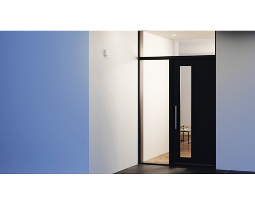 Scéna s vchodovými dverami, skleneným oknom a pohybovým senzorom na stene