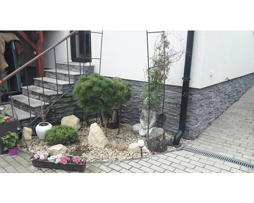 Upravený vstupný priestor s kamenným schodiskom, rastlinami a dekoratívnymi prvkami.