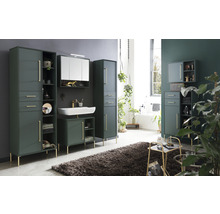 Kúpeľňa s vysokými skriňami, skrinkou pod umývadlo, zrkadlovou skrinkou a kobercom pre moderné vybavenie