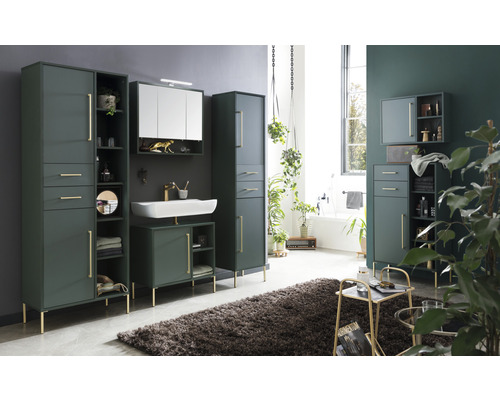 Kúpeľňa s vysokými skriňami, skrinkou pod umývadlo, zrkadlovou skrinkou a kobercom pre moderné vybavenie