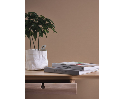 Stôl s izbovou rastlinou v papierovom vrecku a dve knihy