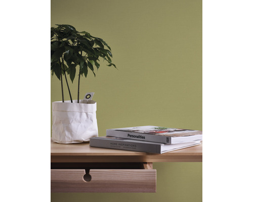 Dekoratívne zátišie s izbovou rastlinou, knihami a stolom so zásuvkou