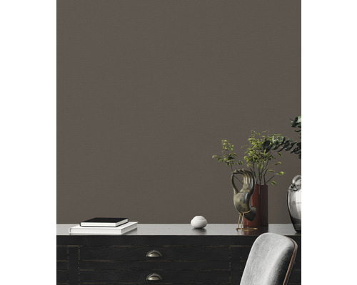 Dekoratívny interiér s čiernou skriňou, rastlinami, umeleckými predmetmi a hromadou kníh