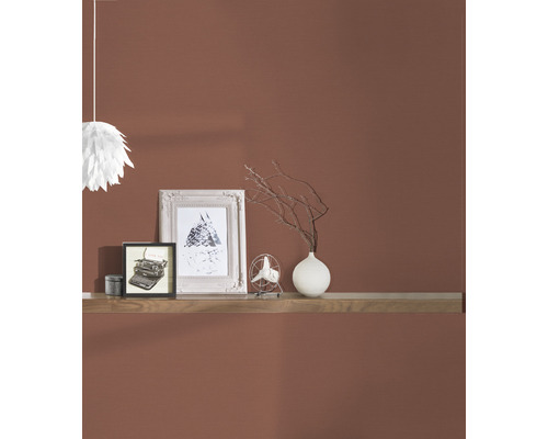 Obývacia izba s policou, dekoráciou a farbou na stenu