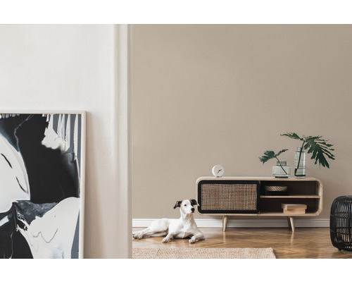 Obývacia izba s drevenou komodou, sklenenými vázami, izbovou rastlinou a psom na koberci.