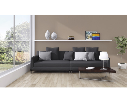 Obývacia izba s pohovkou, konferenčným stolíkom, policou a izbovou rastlinou