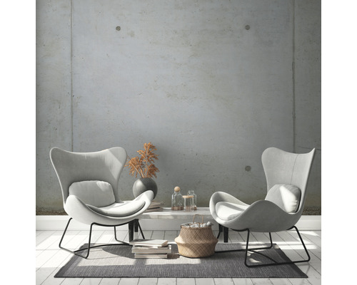 Obývacia izba s dvoma kreslami s opierkami hlavy, stolom a dekoráciou na koberci