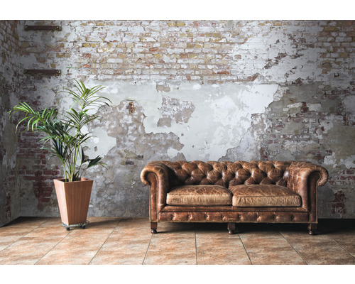 Interiérový pohľad s koženou pohovkou, izbovou rastlinou a tehlovou stenou