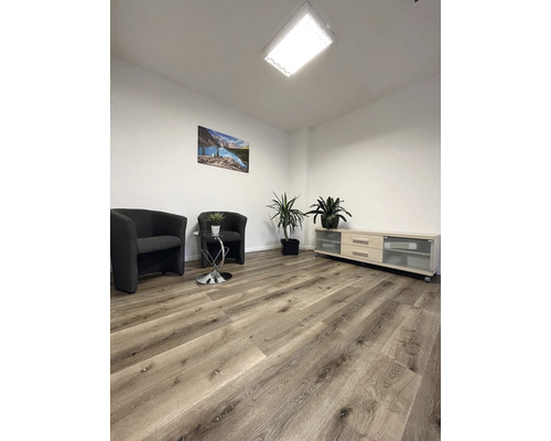 Čakáreň s kreslami, stolom, izbovými rastlinami, obrazom a komodou na drevenej podlahe