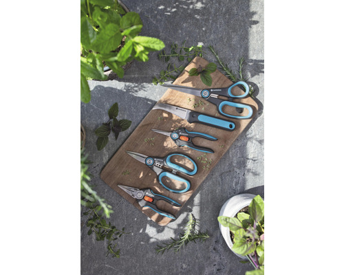 Niekoľko záhradníckych nožníc na drevenej doske s bylinkami.