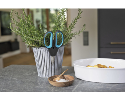 Kvetináč s bylinkami s nožnicami, misa so zemiakmi a miska so soľou na pracovnej doske