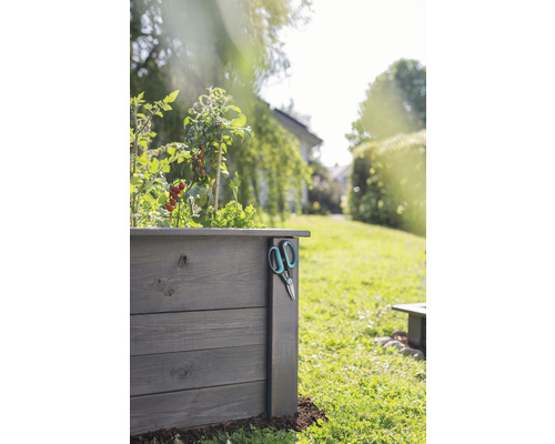 Drevený vyvýšený záhon s rastlinami paradajok a záhradníckymi nožnicami