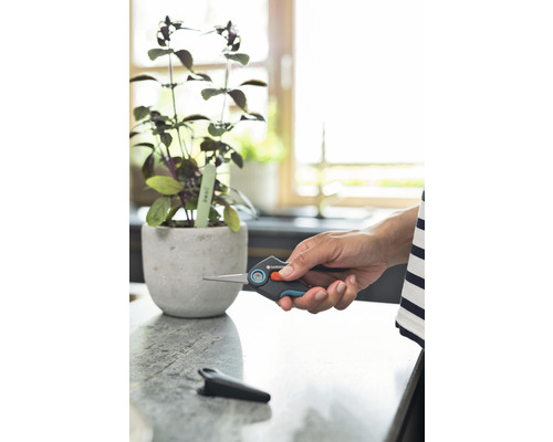 Ruka drží záhradnícke nožnice vedľa rastliny bazalky v kvetináči